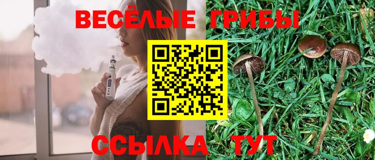 Минеральные Воды  Псилоцибиновые грибы Cubensis  купить  сайты  Псилоцибиновые грибы прущие грибы  Вход с VPN 